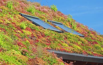 Backford living roof systems