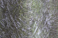 Backford fibreglass roof work